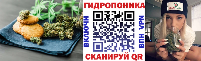 Cannafood марихуана  Светлогорск 