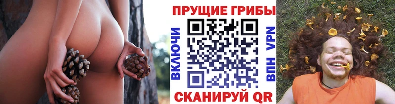 Галлюциногенные грибы Psilocybine cubensis  kraken онион  Светлогорск 