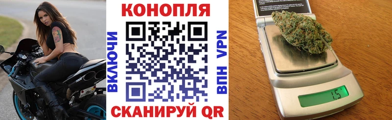 закладка  Светлогорск  Шишки марихуана тримм 